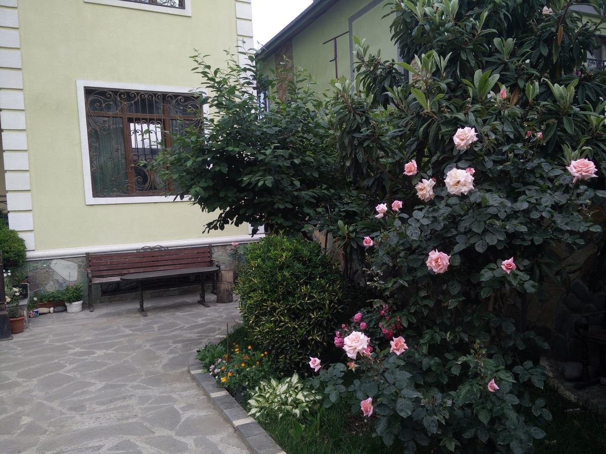 Hotel Mimino Tbilisi Zewnętrze zdjęcie